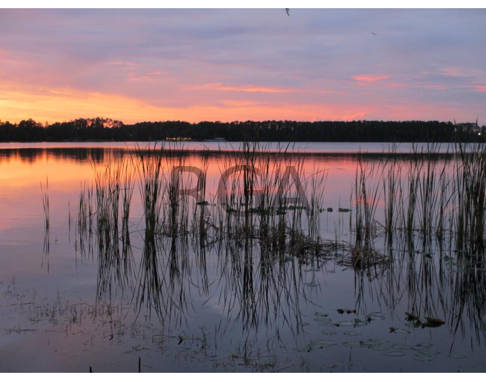 Orlando Sunset 5